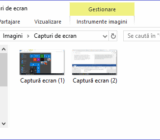 How to catch a screenshot / screenshot in Windows 10
