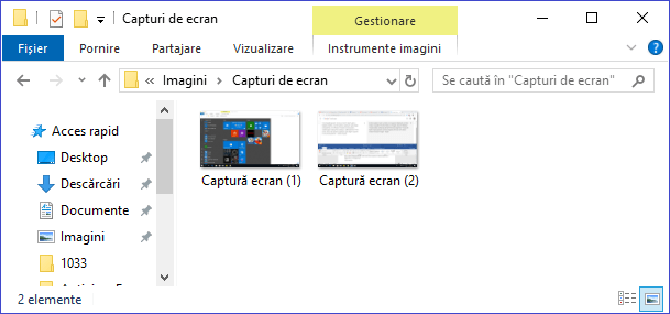 How to catch a screenshot / screenshot in Windows 10